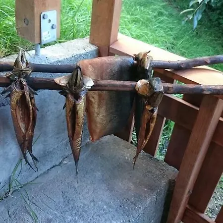 Bazyl Apartamento Folkedal