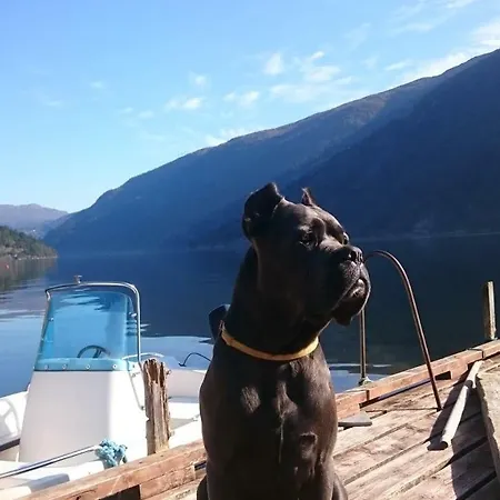 アパート Bazyl Folkedal