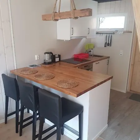 Apartamento Bazyl Folkedal