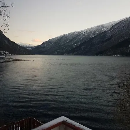 Bazyl * Folkedal